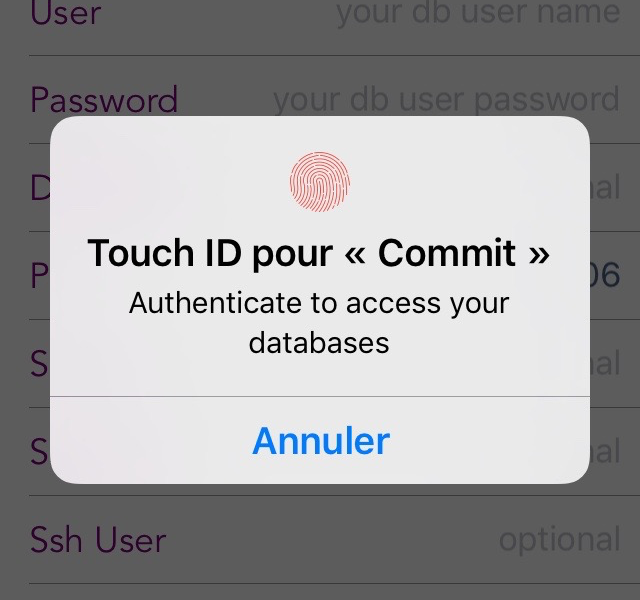 Touch ID prompt